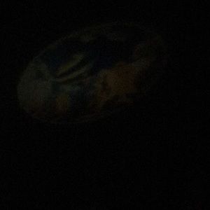 Meet your Posher, Teju